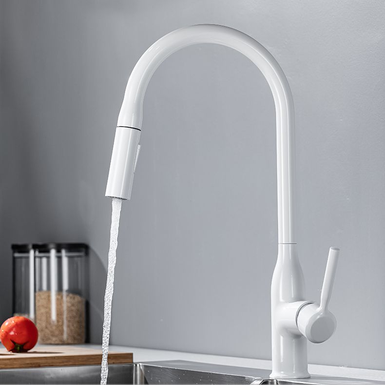 Modern Standard Kitchen Faucet Gooseneck Kitchen Faucet with One Handle Clearhalo 'Home Improvement' 'home_improvement' 'home_improvement_kitchen_faucets' 'Kitchen Faucets' 'Kitchen Remodel & Kitchen Fixtures' 'Kitchen Sinks & Faucet Components' 'kitchen_faucets' 1200x1200_d7ae66fd-6529-4d36-88dc-e42b206f6302