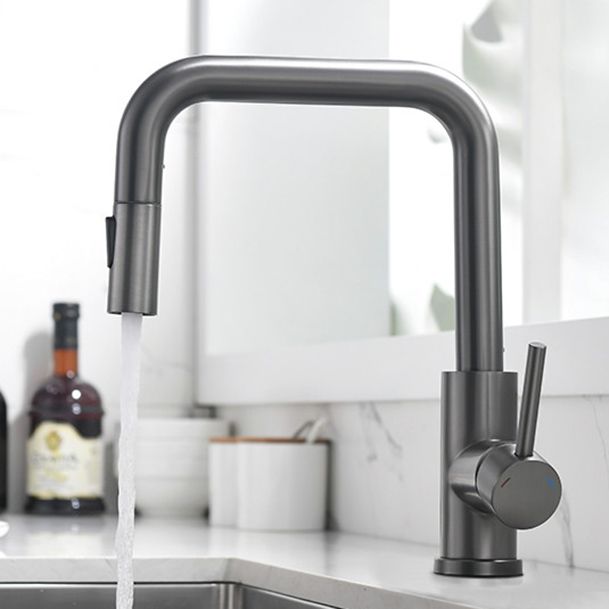 Modern Pull Out Single Rotary Switch Kitchen Faucet High Profile Faucet Clearhalo 'Home Improvement' 'home_improvement' 'home_improvement_kitchen_faucets' 'Kitchen Faucets' 'Kitchen Remodel & Kitchen Fixtures' 'Kitchen Sinks & Faucet Components' 'kitchen_faucets' 1200x1200_d99ff220-fd35-43d7-aa19-49834a5f8b32
