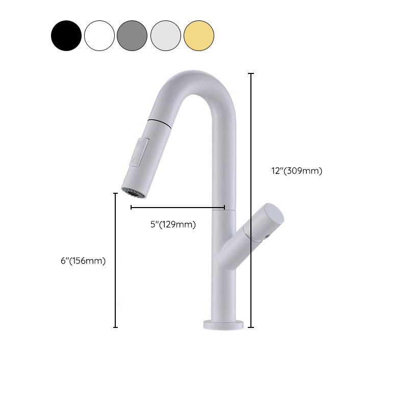 High-Arc Modern Style Bathroom Faucet Single Handle Pull-out Faucet Clearhalo 'Home Improvement' 'home_improvement' 'home_improvement_kitchen_faucets' 'Kitchen Faucets' 'Kitchen Remodel & Kitchen Fixtures' 'Kitchen Sinks & Faucet Components' 'kitchen_faucets' 1200x1200_d9df6e6d-fa36-43de-b713-bdd6d2e1b6b4