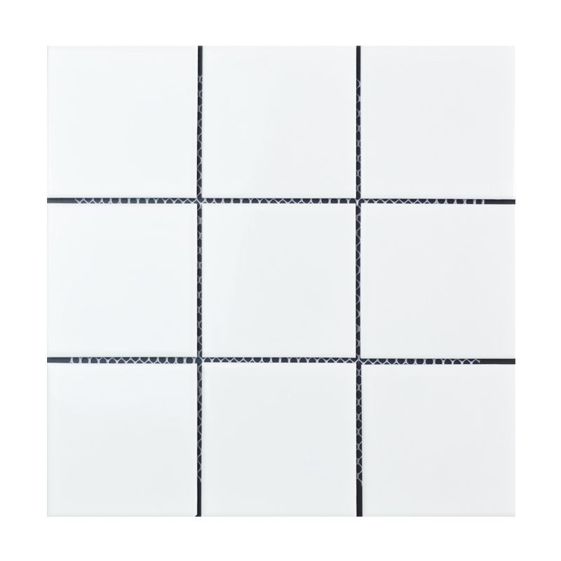 Ceramic Floor and Wall Tile Slip Resistant Floor and Wall Tile with Square Shape Clearhalo 'Floor Tiles & Wall Tiles' 'floor_tiles_wall_tiles' 'Flooring 'Home Improvement' 'home_improvement' 'home_improvement_floor_tiles_wall_tiles' Walls and Ceiling' 1200x1200_db0975ee-12ac-49ef-a4e4-87eb584ed42e