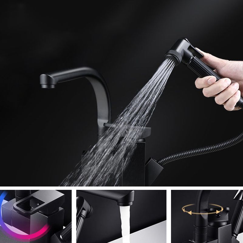 Traditional 1-Handle Faucet with Water Dispenser Standard Kitchen Faucet Clearhalo 'Home Improvement' 'home_improvement' 'home_improvement_kitchen_faucets' 'Kitchen Faucets' 'Kitchen Remodel & Kitchen Fixtures' 'Kitchen Sinks & Faucet Components' 'kitchen_faucets' 1200x1200_db100656-89d5-402e-8637-649bd48a0895