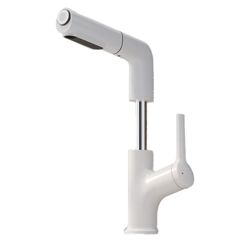 High-Arc Bathroom Vessel Faucet Swivel Spout with Pull Out Sprayer Clearhalo 'Bathroom Remodel & Bathroom Fixtures' 'Bathroom Sink Faucets' 'Bathroom Sinks & Faucet Components' 'bathroom_sink_faucets' 'Home Improvement' 'home_improvement' 'home_improvement_bathroom_sink_faucets' 1200x1200_db2310dd-78ef-479d-8108-2c1572a78b67