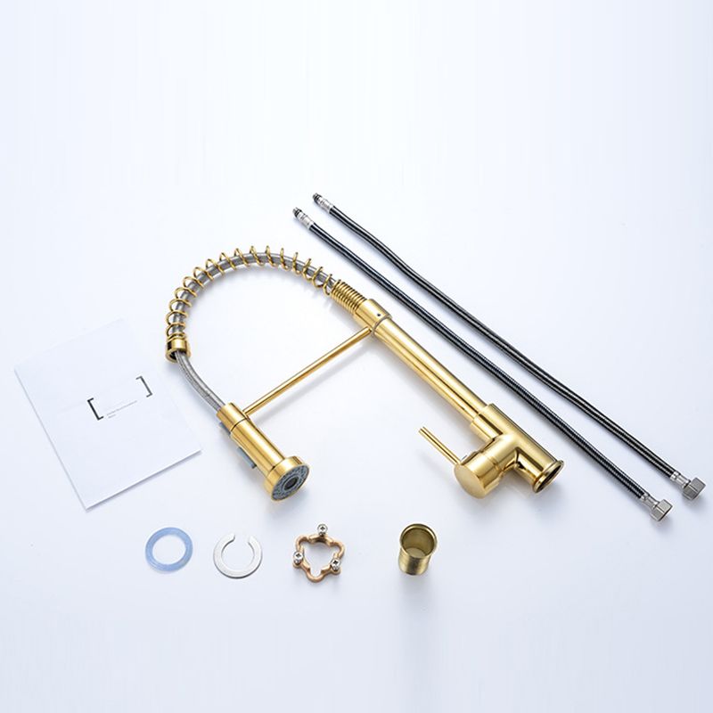 Modern Spring Spout Faucets 1-Handle with Water Dispenser Standard Kitchen Faucets Clearhalo 'Home Improvement' 'home_improvement' 'home_improvement_kitchen_faucets' 'Kitchen Faucets' 'Kitchen Remodel & Kitchen Fixtures' 'Kitchen Sinks & Faucet Components' 'kitchen_faucets' 1200x1200_db428477-3b06-4894-bbbb-b68b2b8ebac7