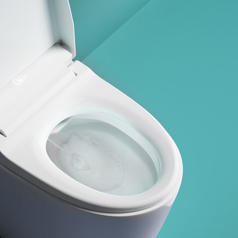 Modern Flush Toilet Concealed Tank One-Piece Toilet with Slow Close Seat Clearhalo 'Bathroom Remodel & Bathroom Fixtures' 'Home Improvement' 'home_improvement' 'home_improvement_toilets' 'Toilets & Bidets' 'Toilets' 1200x1200_db4da99e-00c4-480b-aa77-5e4737c4f625