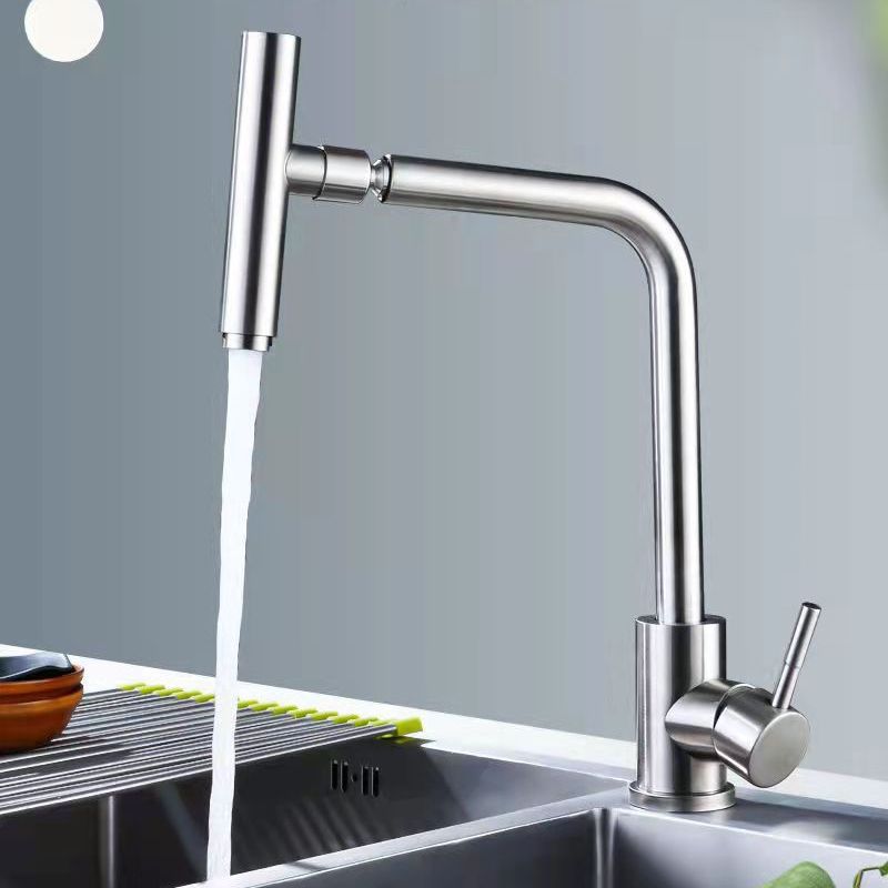 1-Handle Faucets with Water Dispenser Stainless Steel Standard Kitchen Faucets Clearhalo 'Home Improvement' 'home_improvement' 'home_improvement_kitchen_faucets' 'Kitchen Faucets' 'Kitchen Remodel & Kitchen Fixtures' 'Kitchen Sinks & Faucet Components' 'kitchen_faucets' 1200x1200_db5d8109-a2a2-4253-9f2a-babda2177822
