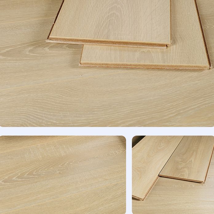 Modern Laminate Click Scratch Resistant 10mm Thickness Laminate Plank Flooring Clearhalo 'Flooring 'Home Improvement' 'home_improvement' 'home_improvement_laminate_flooring' 'Laminate Flooring' 'laminate_flooring' Walls and Ceiling' 1200x1200_db6f675e-4664-481d-b85c-55e729598a6c
