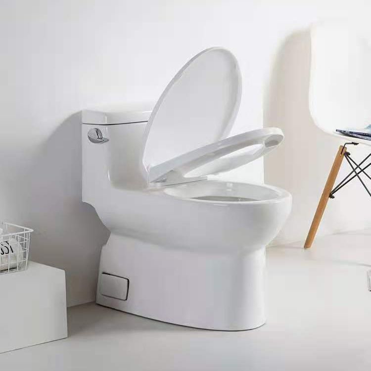 Modern Ceramic Siphon Jet Toilet Bowl Floor Mount Flush Toilet with Toilet Seat Clearhalo 'Bathroom Remodel & Bathroom Fixtures' 'Home Improvement' 'home_improvement' 'home_improvement_toilets' 'Toilets & Bidets' 'Toilets' 1200x1200_dbd05b9d-b38e-4d44-af9e-82dd57256d03
