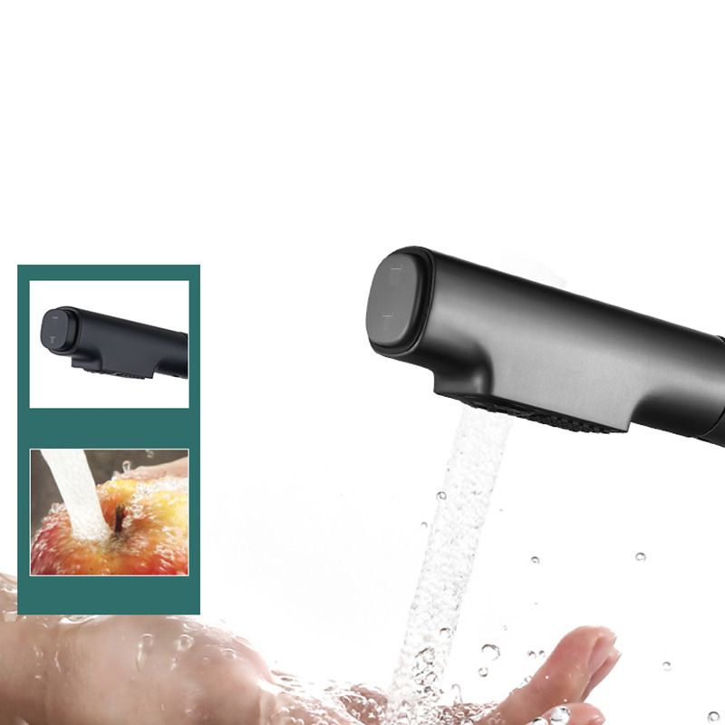 Modern Style Retractable Faucet Copper Single Handle Faucet for Kitchen Clearhalo 'Home Improvement' 'home_improvement' 'home_improvement_kitchen_faucets' 'Kitchen Faucets' 'Kitchen Remodel & Kitchen Fixtures' 'Kitchen Sinks & Faucet Components' 'kitchen_faucets' 1200x1200_dc18b104-a2ce-45f5-8ecb-c94d85f9a447