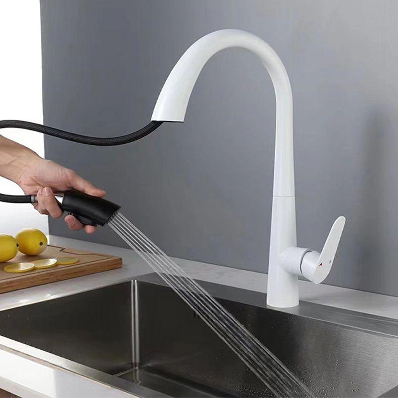 Modern Style Kitchen Faucet 304 Stainless Steel Single Handle Gooseneck Kitchen Faucet Clearhalo 'Home Improvement' 'home_improvement' 'home_improvement_kitchen_faucets' 'Kitchen Faucets' 'Kitchen Remodel & Kitchen Fixtures' 'Kitchen Sinks & Faucet Components' 'kitchen_faucets' 1200x1200_dccc3097-2bd0-4fa0-be16-db97c09039ba