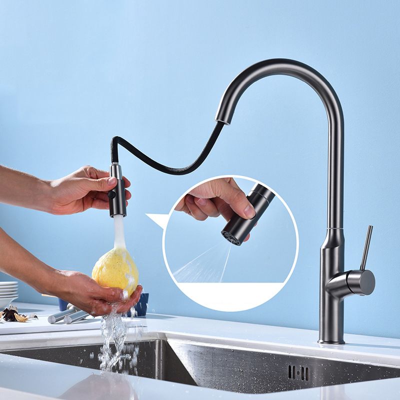 Modern 1-Handle Faucets Stainless Steel with Water Dispenser Pull down Faucets Clearhalo 'Home Improvement' 'home_improvement' 'home_improvement_kitchen_faucets' 'Kitchen Faucets' 'Kitchen Remodel & Kitchen Fixtures' 'Kitchen Sinks & Faucet Components' 'kitchen_faucets' 1200x1200_dda8855d-305d-410d-acbd-79281cefd1c2