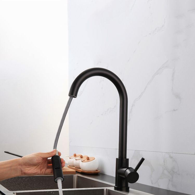 Modern Farmhouse Pull Down Water Filler One Handle High Arch Kitchen Faucet Clearhalo 'Home Improvement' 'home_improvement' 'home_improvement_kitchen_faucets' 'Kitchen Faucets' 'Kitchen Remodel & Kitchen Fixtures' 'Kitchen Sinks & Faucet Components' 'kitchen_faucets' 1200x1200_ddd14b82-5f47-4102-9c5f-e6cd8522f9a5