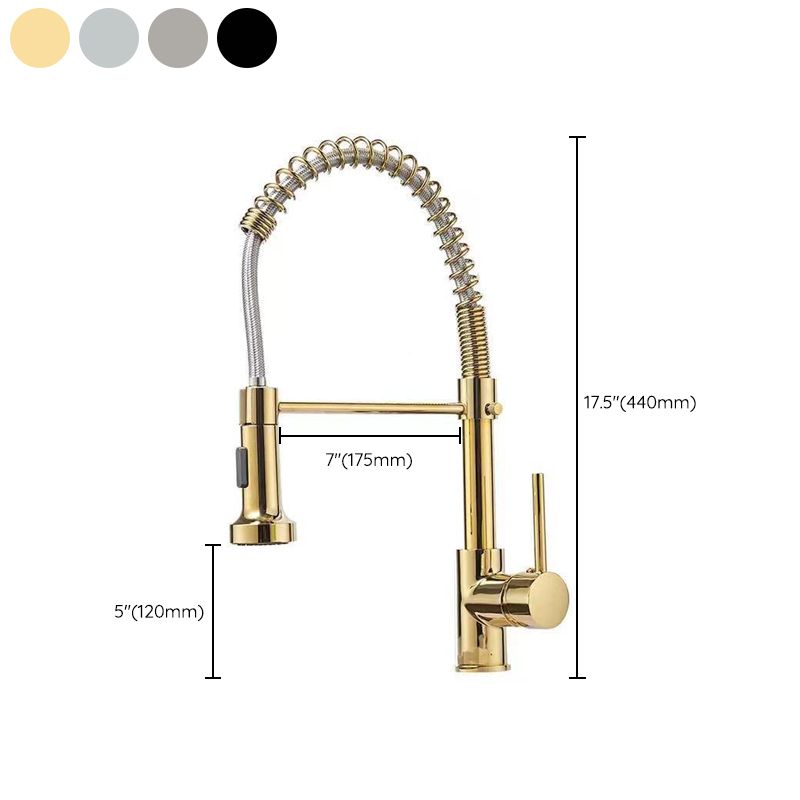 Modern 1-Handle Faucet Spring Spout with Water Dispenser Standard Kitchen Faucet Clearhalo 'Home Improvement' 'home_improvement' 'home_improvement_kitchen_faucets' 'Kitchen Faucets' 'Kitchen Remodel & Kitchen Fixtures' 'Kitchen Sinks & Faucet Components' 'kitchen_faucets' 1200x1200_de489ab3-a79b-4821-b98b-64fdd26e86d7