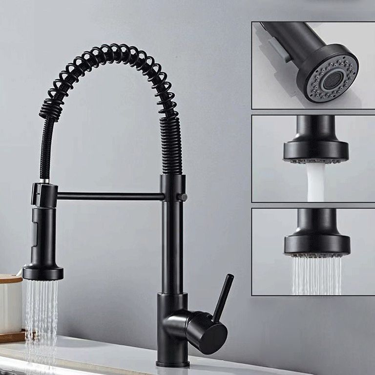 Modern 1-Handle Faucet Spring Spout with Water Dispenser Standard Kitchen Faucet Clearhalo 'Home Improvement' 'home_improvement' 'home_improvement_kitchen_faucets' 'Kitchen Faucets' 'Kitchen Remodel & Kitchen Fixtures' 'Kitchen Sinks & Faucet Components' 'kitchen_faucets' 1200x1200_de99879e-8446-4069-aa6e-e342080a5123