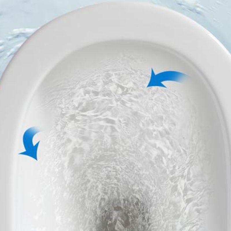 Modern Floor Mount Flush Toilet Ceramic Urine Toilet with Slow Close Seat for Bathroom Clearhalo 'Bathroom Remodel & Bathroom Fixtures' 'Home Improvement' 'home_improvement' 'home_improvement_toilets' 'Toilets & Bidets' 'Toilets' 1200x1200_decaffae-cdad-47ea-a917-93257ad4f10b