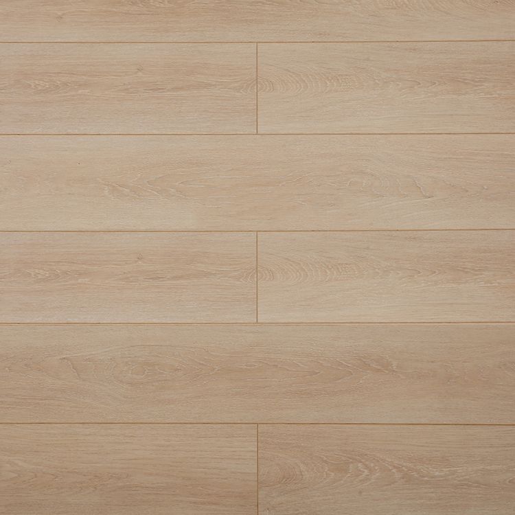 Modern 12mm Natural Solid Wood Laminate Flooring, Click-Lock, Waterproof Clearhalo 'Flooring 'Home Improvement' 'home_improvement' 'home_improvement_laminate_flooring' 'Laminate Flooring' 'laminate_flooring' Walls and Ceiling' 1200x1200_deec6ce2-9878-4181-aebd-a9b3ca02074b