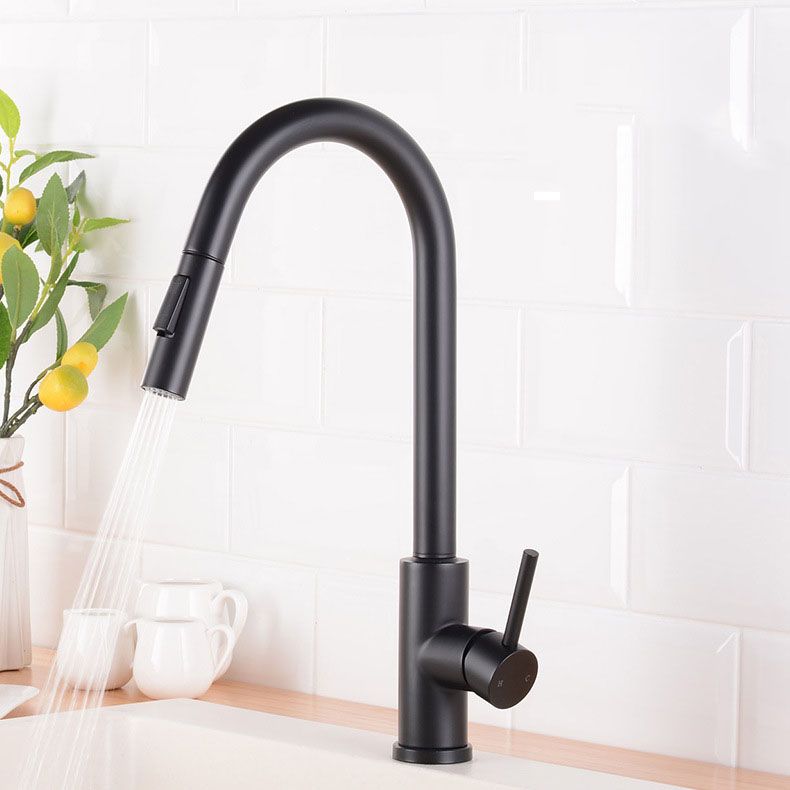 1-Handle Faucet Touch Stainless Steel with Water Dispenser Standard Kitchen Faucet Clearhalo 'Home Improvement' 'home_improvement' 'home_improvement_kitchen_faucets' 'Kitchen Faucets' 'Kitchen Remodel & Kitchen Fixtures' 'Kitchen Sinks & Faucet Components' 'kitchen_faucets' 1200x1200_df24f26d-842e-4d5d-85d5-ddb4b5ab5d89
