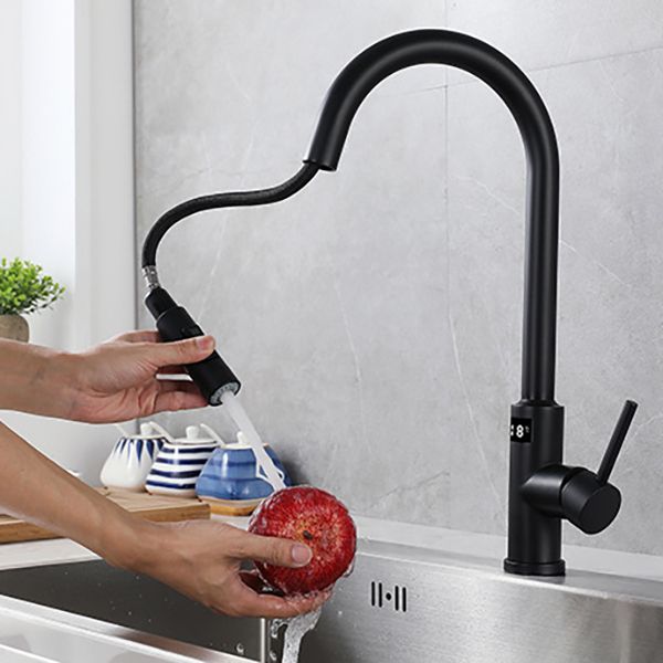 Modern Style Kitchen Faucet Stainless Steel Single Handle Retractable Kitchen Faucet Clearhalo 'Home Improvement' 'home_improvement' 'home_improvement_kitchen_faucets' 'Kitchen Faucets' 'Kitchen Remodel & Kitchen Fixtures' 'Kitchen Sinks & Faucet Components' 'kitchen_faucets' 1200x1200_df442c6d-dbfa-4875-8520-f1f201c66442