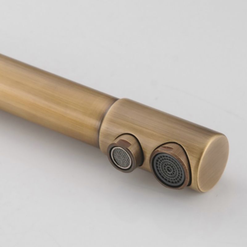 Traditional Kitchen Faucet Brass Low Profile Standard Kitchen Faucets Single Handle Clearhalo 'Home Improvement' 'home_improvement' 'home_improvement_kitchen_faucets' 'Kitchen Faucets' 'Kitchen Remodel & Kitchen Fixtures' 'Kitchen Sinks & Faucet Components' 'kitchen_faucets' 1200x1200_df4a777b-8cae-40cb-9ceb-94ce09fdfdfb