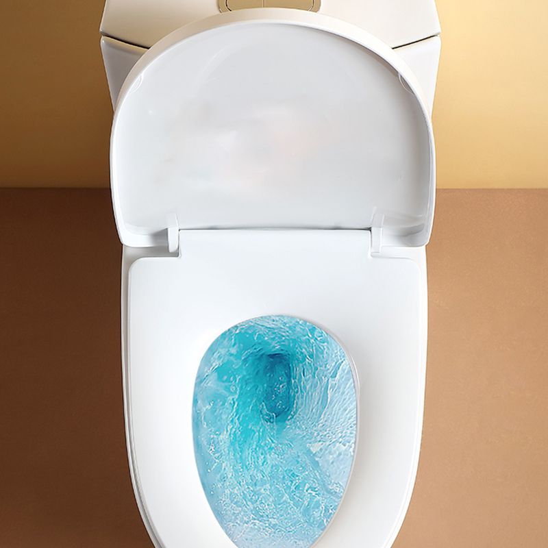 Traditional Flush Toilet Floor Mounted One-Piece Toilet Porcelain Toilet Bowl Clearhalo 'Bathroom Remodel & Bathroom Fixtures' 'Home Improvement' 'home_improvement' 'home_improvement_toilets' 'Toilets & Bidets' 'Toilets' 1200x1200_df66c6ba-6903-46a2-a237-93828a34c0e3