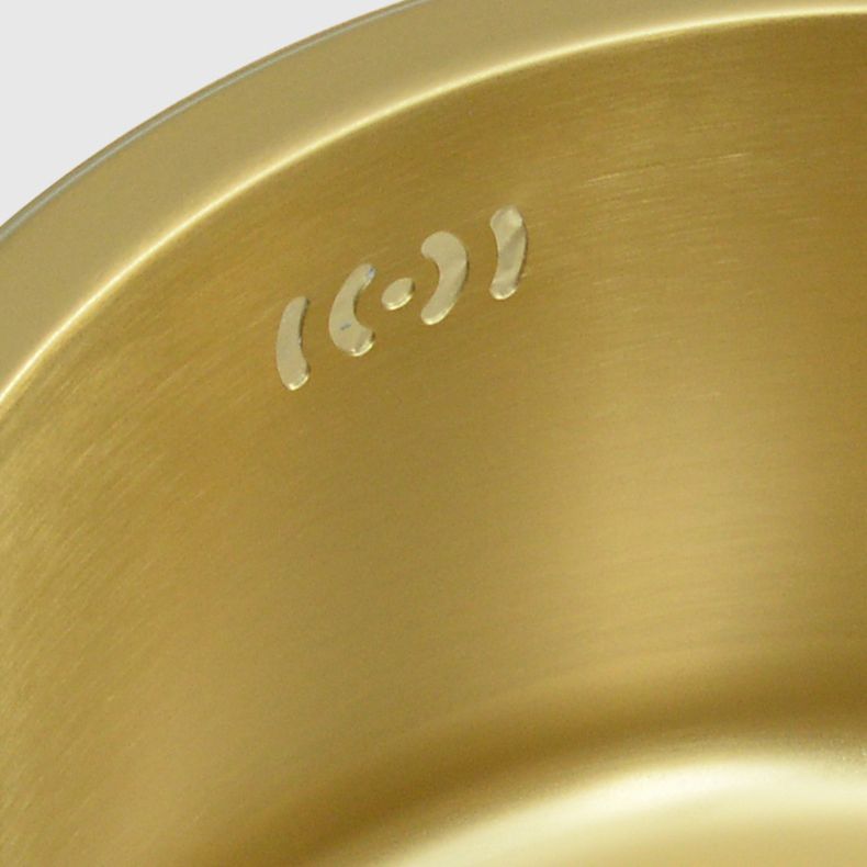 Golden Round Stainless Steel Drop-In Kitchen Sink with Drain Assembly Clearhalo 'Home Improvement' 'home_improvement' 'home_improvement_kitchen_sinks' 'Kitchen Remodel & Kitchen Fixtures' 'Kitchen Sinks & Faucet Components' 'Kitchen Sinks' 'kitchen_sinks' 1200x1200_df68e4b7-87c9-465a-8035-9d1673dff5d5