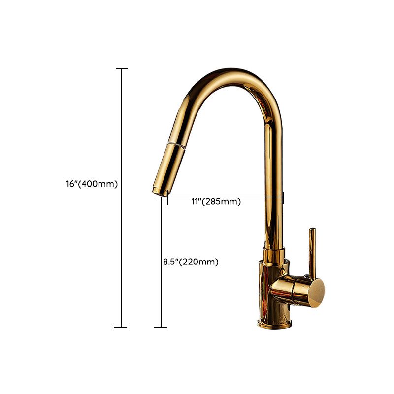 Single Hole Kitchen Faucet Metal Pull down Sprayer Kitchen Faucet with Lever Handle Clearhalo 'Home Improvement' 'home_improvement' 'home_improvement_kitchen_faucets' 'Kitchen Faucets' 'Kitchen Remodel & Kitchen Fixtures' 'Kitchen Sinks & Faucet Components' 'kitchen_faucets' 1200x1200_e0c30d94-36f2-4f7b-aed2-849fe2978af0