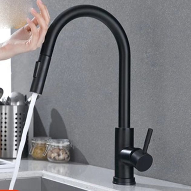 Modern Style Kitchen Faucet Stainless Steel 1-Handle Gooseneck Kitchen Faucet Clearhalo 'Home Improvement' 'home_improvement' 'home_improvement_kitchen_faucets' 'Kitchen Faucets' 'Kitchen Remodel & Kitchen Fixtures' 'Kitchen Sinks & Faucet Components' 'kitchen_faucets' 1200x1200_e17c05f2-4ed8-4bc1-bca4-4e75c4203483