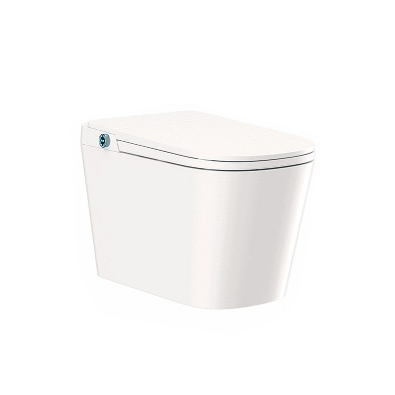 Modern White Skirted Toilet Bowl Siphon Jet Toilet with Seat for Bathroom Clearhalo 'Bathroom Remodel & Bathroom Fixtures' 'Home Improvement' 'home_improvement' 'home_improvement_toilets' 'Toilets & Bidets' 'Toilets' 1200x1200_e1e4a5f4-e374-4e4b-9cae-766585167726