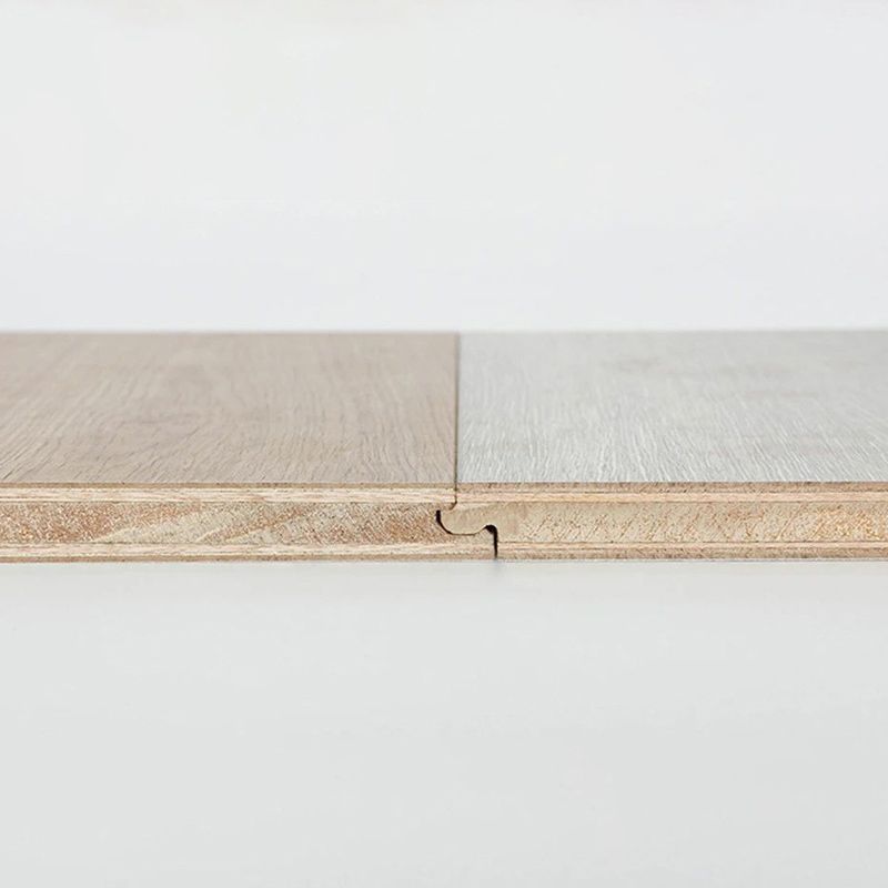 Classic Wood Laminate Floor Water-Resistant Click Lock Laminate Flooring Clearhalo 'Flooring 'Home Improvement' 'home_improvement' 'home_improvement_laminate_flooring' 'Laminate Flooring' 'laminate_flooring' Walls and Ceiling' 1200x1200_e26785e2-44d9-46d5-8238-b5f58aa462e5