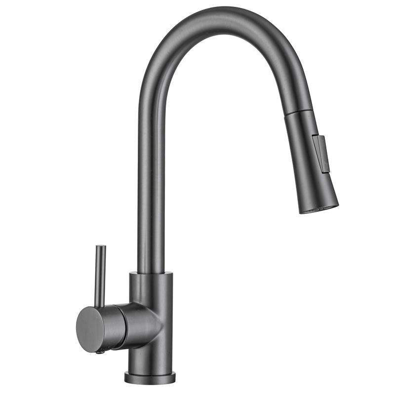 Modern Style Retractable Vessel Faucet Single Handle Stainless Steel Vessel Faucet Clearhalo 'Bathroom Remodel & Bathroom Fixtures' 'Bathroom Sink Faucets' 'Bathroom Sinks & Faucet Components' 'bathroom_sink_faucets' 'Home Improvement' 'home_improvement' 'home_improvement_bathroom_sink_faucets' 1200x1200_e2adbf40-1b17-4837-ba6c-a5b7765b0e65
