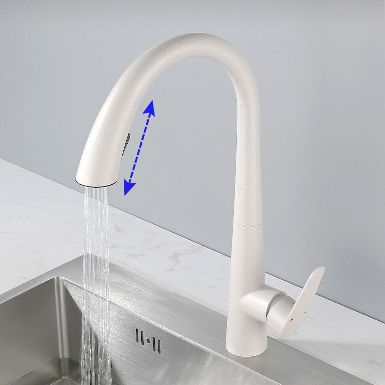 Modern Style Retractable Kitchen Faucet 304 Stainless Steel 1-Handle Kitchen Faucet Clearhalo 'Home Improvement' 'home_improvement' 'home_improvement_kitchen_faucets' 'Kitchen Faucets' 'Kitchen Remodel & Kitchen Fixtures' 'Kitchen Sinks & Faucet Components' 'kitchen_faucets' 1200x1200_e31bc2a4-292c-4176-83ec-c9513fd69145