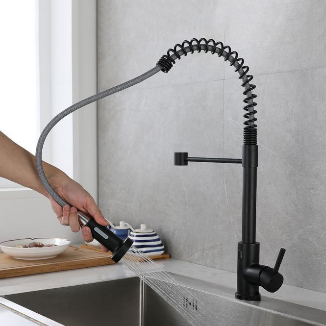 Modern Farmhouse Spring Spout One Handle Kitchen Faucet High Arch Water Filler Clearhalo 'Home Improvement' 'home_improvement' 'home_improvement_kitchen_faucets' 'Kitchen Faucets' 'Kitchen Remodel & Kitchen Fixtures' 'Kitchen Sinks & Faucet Components' 'kitchen_faucets' 1200x1200_e34cab57-f677-4c44-a03b-de21516d8f00