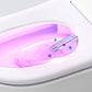 Modern Flush Toilet Floor Mounted Siphon Jet All-In-One Toilet Bowl Clearhalo 'Bathroom Remodel & Bathroom Fixtures' 'Home Improvement' 'home_improvement' 'home_improvement_toilets' 'Toilets & Bidets' 'Toilets' 1200x1200_e39db5d6-a9c5-49f5-ac00-d857c64b38da