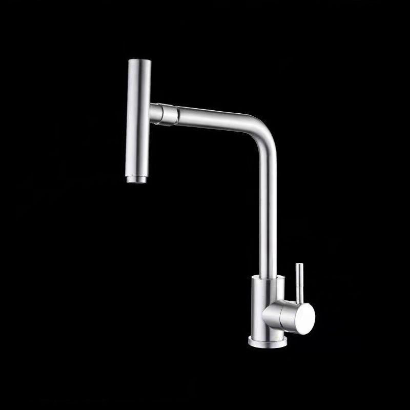1-Handle Faucets with Water Dispenser Stainless Steel Standard Kitchen Faucets Clearhalo 'Home Improvement' 'home_improvement' 'home_improvement_kitchen_faucets' 'Kitchen Faucets' 'Kitchen Remodel & Kitchen Fixtures' 'Kitchen Sinks & Faucet Components' 'kitchen_faucets' 1200x1200_e3a67e7b-2f60-49e8-bf7d-20be7ee02940