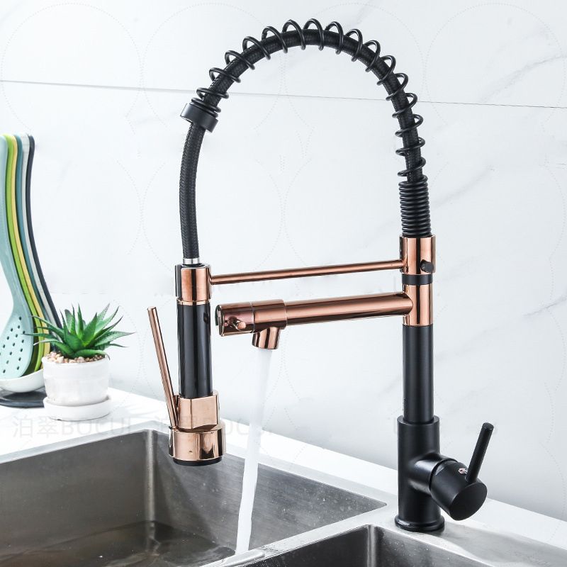 Modern Farmhouse Faucet Spring Spout Double Handles Kitchen Faucet High Arch Water Filler Clearhalo 'Home Improvement' 'home_improvement' 'home_improvement_kitchen_faucets' 'Kitchen Faucets' 'Kitchen Remodel & Kitchen Fixtures' 'Kitchen Sinks & Faucet Components' 'kitchen_faucets' 1200x1200_e40c2c59-e9f5-4554-a07f-fc8d275c638b
