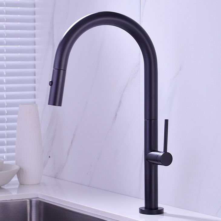 Modern Kitchen Faucet Brass Pull out Faucet with Sprayer and Magnetic Docking Pot Filler Clearhalo 'Home Improvement' 'home_improvement' 'home_improvement_kitchen_faucets' 'Kitchen Faucets' 'Kitchen Remodel & Kitchen Fixtures' 'Kitchen Sinks & Faucet Components' 'kitchen_faucets' 1200x1200_e4ab0296-4b39-4455-9995-dbea61072b9c