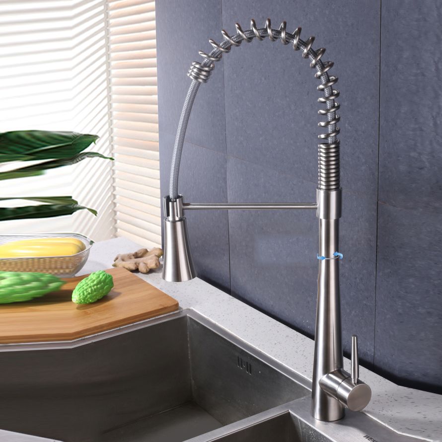 Contemporary Kitchen Faucet Pull down Sprayer Standard Bar Faucet in Silver Clearhalo 'Home Improvement' 'home_improvement' 'home_improvement_kitchen_faucets' 'Kitchen Faucets' 'Kitchen Remodel & Kitchen Fixtures' 'Kitchen Sinks & Faucet Components' 'kitchen_faucets' 1200x1200_e5a788ff-deb7-4524-bdf7-4a97c97f4186