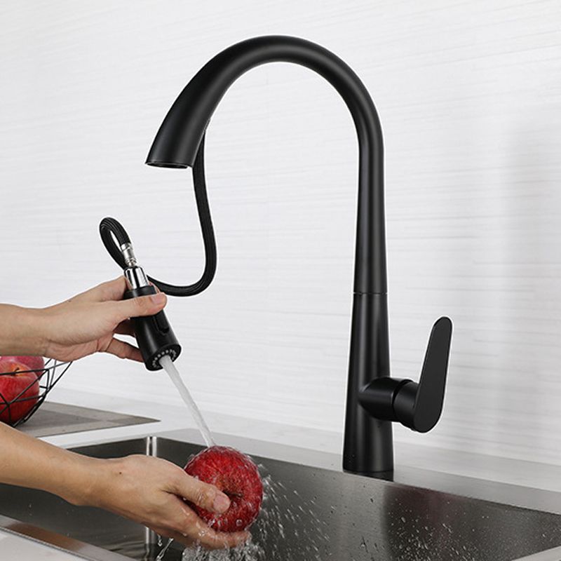 Modern Style Kitchen Faucet 304 Stainless Steel Single Handle Gooseneck Kitchen Faucet Clearhalo 'Home Improvement' 'home_improvement' 'home_improvement_kitchen_faucets' 'Kitchen Faucets' 'Kitchen Remodel & Kitchen Fixtures' 'Kitchen Sinks & Faucet Components' 'kitchen_faucets' 1200x1200_e5a91729-141f-453e-b092-04f3a309b26e