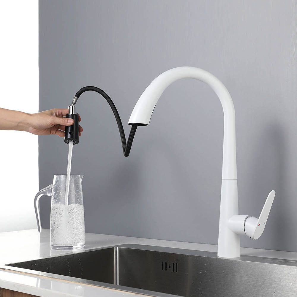Contemporary High-Arc Kitchen Faucet Swivel Spout with Pull Down Sprayer Clearhalo 'Home Improvement' 'home_improvement' 'home_improvement_kitchen_faucets' 'Kitchen Faucets' 'Kitchen Remodel & Kitchen Fixtures' 'Kitchen Sinks & Faucet Components' 'kitchen_faucets' 1200x1200_e5f908af-238b-4507-a931-7301ec49239c