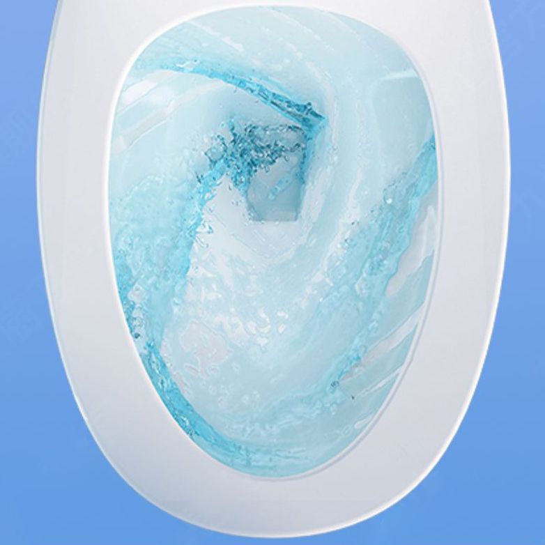 Traditional Toilet Bowl One Piece Toilet Floor Mounted Siphon Jet Toilet Clearhalo 'Bathroom Remodel & Bathroom Fixtures' 'Home Improvement' 'home_improvement' 'home_improvement_toilets' 'Toilets & Bidets' 'Toilets' 1200x1200_e63c287f-93c6-480e-8ca0-c9c6fde472ce