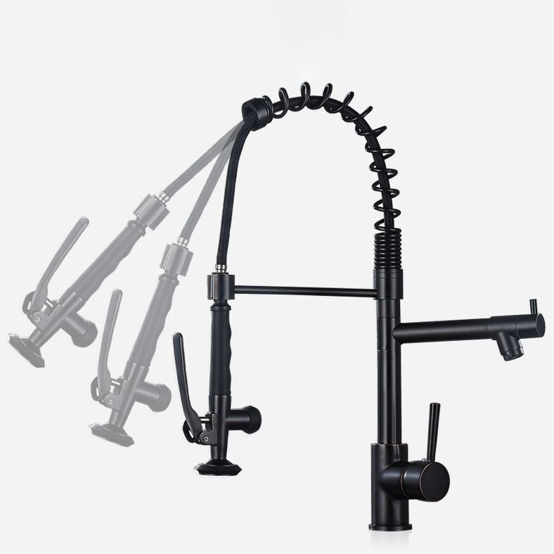 Modern Farmhouse Spring Spout Kitchen Sink Faucet Gooseneck with Pull Down Sprayer Clearhalo 'Home Improvement' 'home_improvement' 'home_improvement_kitchen_faucets' 'Kitchen Faucets' 'Kitchen Remodel & Kitchen Fixtures' 'Kitchen Sinks & Faucet Components' 'kitchen_faucets' 1200x1200_e6453652-a735-401c-acf2-5491bf6f0412