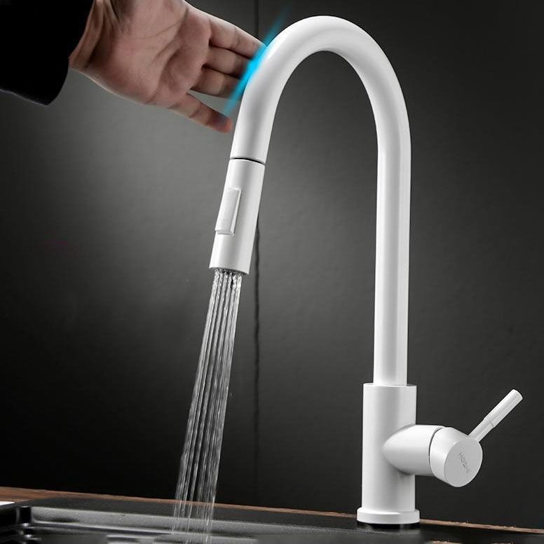 Contemporary Single Handle Kitchen Faucet 1-Hold Faucet with Pull out Sprayer Clearhalo 'Home Improvement' 'home_improvement' 'home_improvement_kitchen_faucets' 'Kitchen Faucets' 'Kitchen Remodel & Kitchen Fixtures' 'Kitchen Sinks & Faucet Components' 'kitchen_faucets' 1200x1200_e70dad9f-31f6-473d-bd29-1285efc3564d