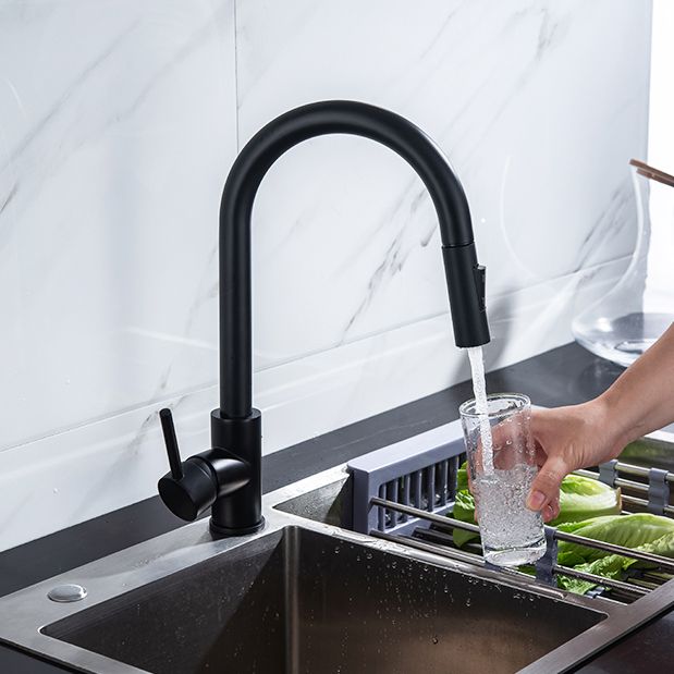 Modern Style Kitchen Faucet Gooseneck Kitchen Faucet with Pull down Sprayer Clearhalo 'Home Improvement' 'home_improvement' 'home_improvement_kitchen_faucets' 'Kitchen Faucets' 'Kitchen Remodel & Kitchen Fixtures' 'Kitchen Sinks & Faucet Components' 'kitchen_faucets' 1200x1200_e8045113-953c-4b58-bda8-b5bc5b952fa8