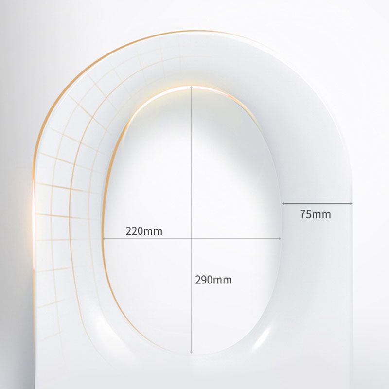 Electronic Elongated Toilet Vitreous China Wall Mounted Bidet Clearhalo 'Bathroom Remodel & Bathroom Fixtures' 'Bidets' 'Home Improvement' 'home_improvement' 'home_improvement_bidets' 'Toilets & Bidets' 1200x1200_e8084def-f69f-4afe-973a-7324dd6f004a