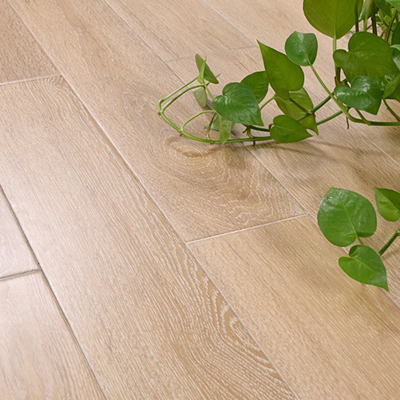 Modern Laminate Floor Wood Indoor Living Room Laminate Plank Flooring Clearhalo 'Flooring 'Home Improvement' 'home_improvement' 'home_improvement_laminate_flooring' 'Laminate Flooring' 'laminate_flooring' Walls and Ceiling' 1200x1200_e8744734-825f-45b5-9197-96deecb72782