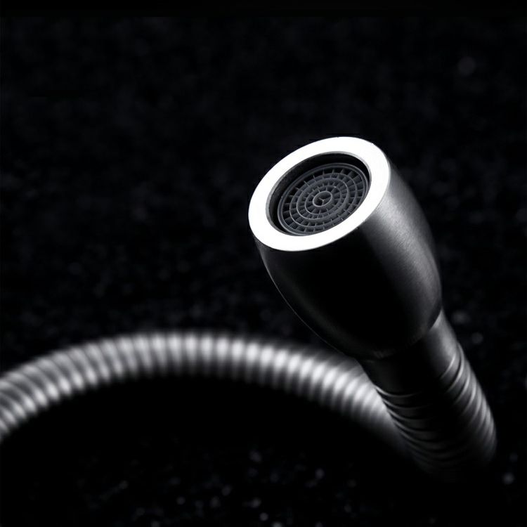 Modern Pot Filler 304 Stainless Steel Pre-rinse Spring Spout Kitchen Sink Faucet Clearhalo 'Home Improvement' 'home_improvement' 'home_improvement_kitchen_faucets' 'Kitchen Faucets' 'Kitchen Remodel & Kitchen Fixtures' 'Kitchen Sinks & Faucet Components' 'kitchen_faucets' 1200x1200_e8b3a31d-b296-4897-ae47-a8585f92d50f