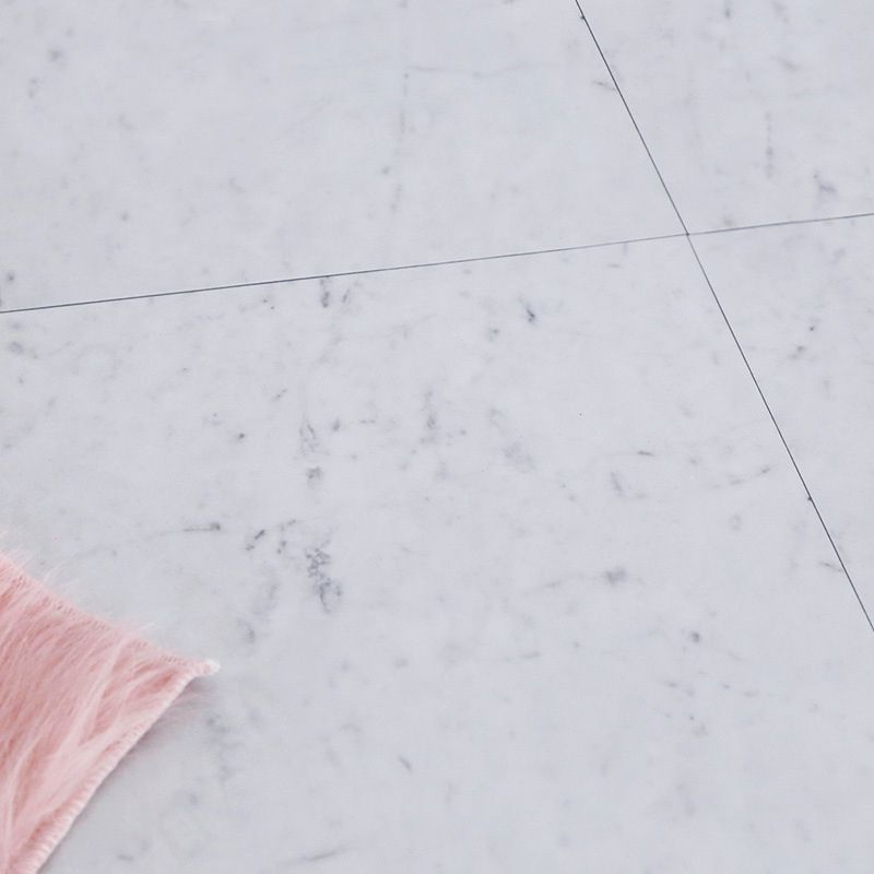 Light Vinyl Flooring Peel and Stick Vinyl Flooring with Low Gloss Clearhalo 'Flooring 'Home Improvement' 'home_improvement' 'home_improvement_vinyl_flooring' 'Vinyl Flooring' 'vinyl_flooring' Walls and Ceiling' 1200x1200_e9903c72-ea1f-4cbd-94e5-be4b4f34725f