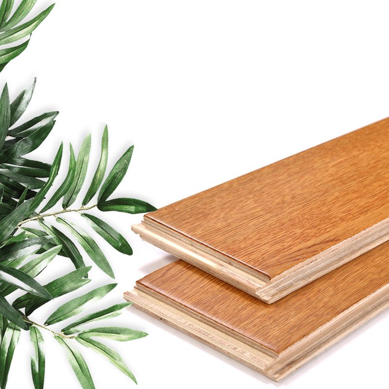 Modern Laminate Floor Wood Indoor Living Room Laminate Plank Flooring Clearhalo 'Flooring 'Home Improvement' 'home_improvement' 'home_improvement_laminate_flooring' 'Laminate Flooring' 'laminate_flooring' Walls and Ceiling' 1200x1200_ea4a1e88-f143-4ede-a0a4-0ed24dc8fb93