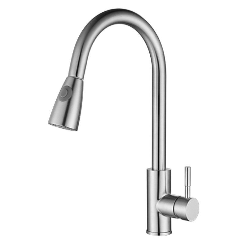 Modern Style Kitchen Faucet 304 Stainless Steel Single Handle High Arc Kitchen Faucet Clearhalo 'Home Improvement' 'home_improvement' 'home_improvement_kitchen_faucets' 'Kitchen Faucets' 'Kitchen Remodel & Kitchen Fixtures' 'Kitchen Sinks & Faucet Components' 'kitchen_faucets' 1200x1200_ea9d5188-91ac-4afb-bc98-bf4e3c835c04