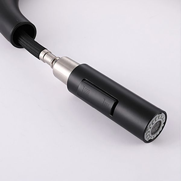 Modern 1-Handle Faucets Stainless Steel Gooseneck with Pull Out Sprayer Faucets Clearhalo 'Home Improvement' 'home_improvement' 'home_improvement_kitchen_faucets' 'Kitchen Faucets' 'Kitchen Remodel & Kitchen Fixtures' 'Kitchen Sinks & Faucet Components' 'kitchen_faucets' 1200x1200_eafc112c-d63d-4a70-812a-ebdd3c940024