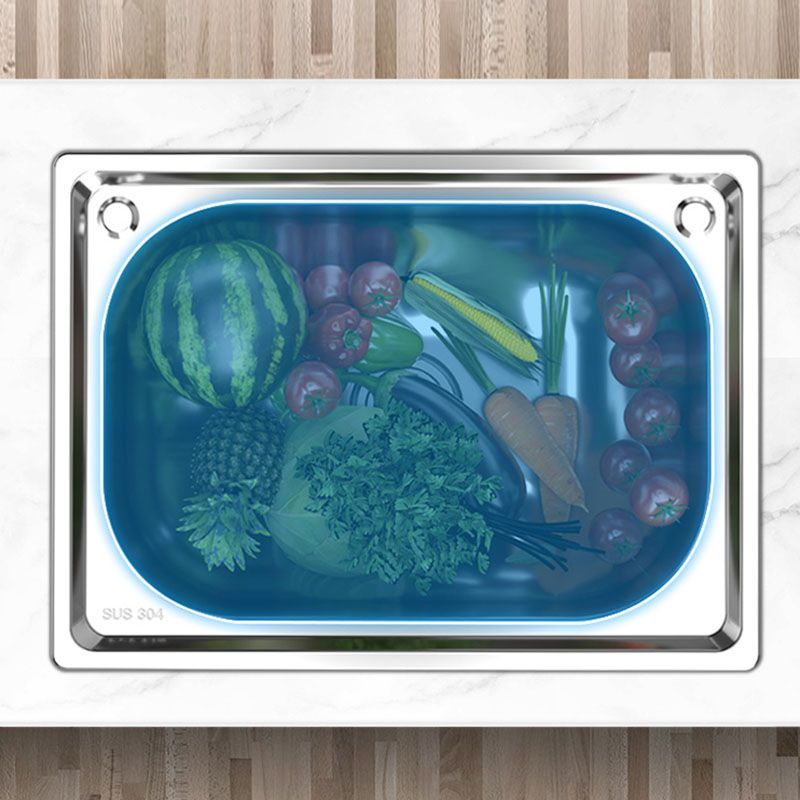 Drop-In Kitchen Sink Soundproof Design Stainless Steel Kitchen Sink with Faucet Clearhalo 'Home Improvement' 'home_improvement' 'home_improvement_kitchen_sinks' 'Kitchen Remodel & Kitchen Fixtures' 'Kitchen Sinks & Faucet Components' 'Kitchen Sinks' 'kitchen_sinks' 1200x1200_ebd9b298-7967-461d-babb-d4a7ab7a6f78